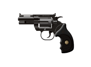 gun investigator services JHB